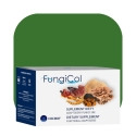 Colway FungiCol Fungoterapia adaptogenna Kordyceps Ganoderma Reishi